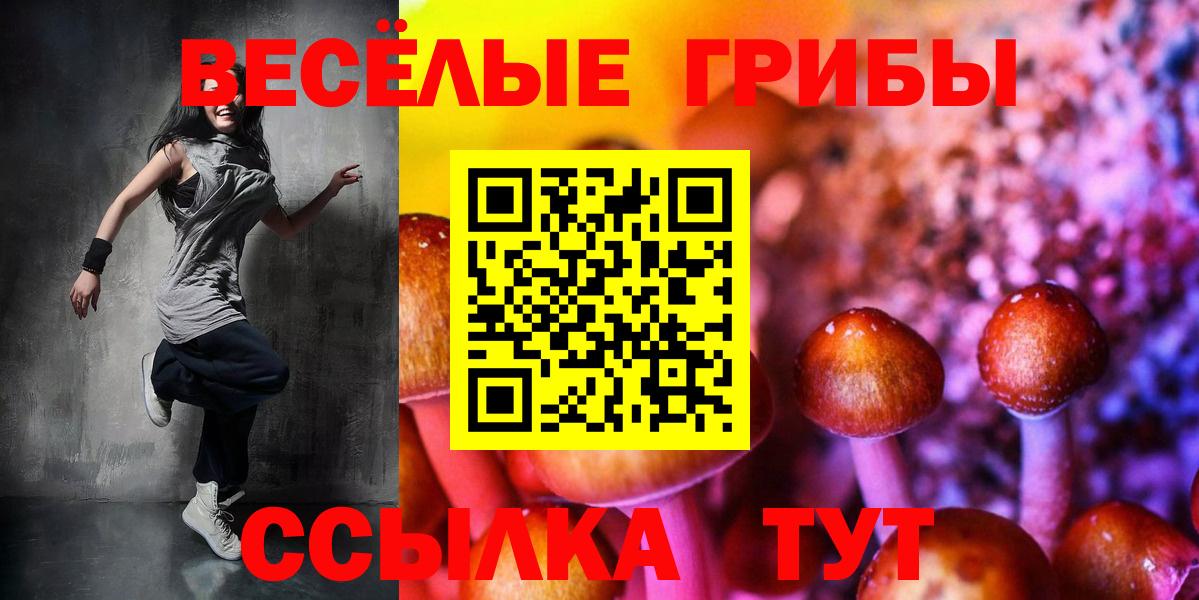 Псилоцибиновые грибы мухоморы Екатеринбург