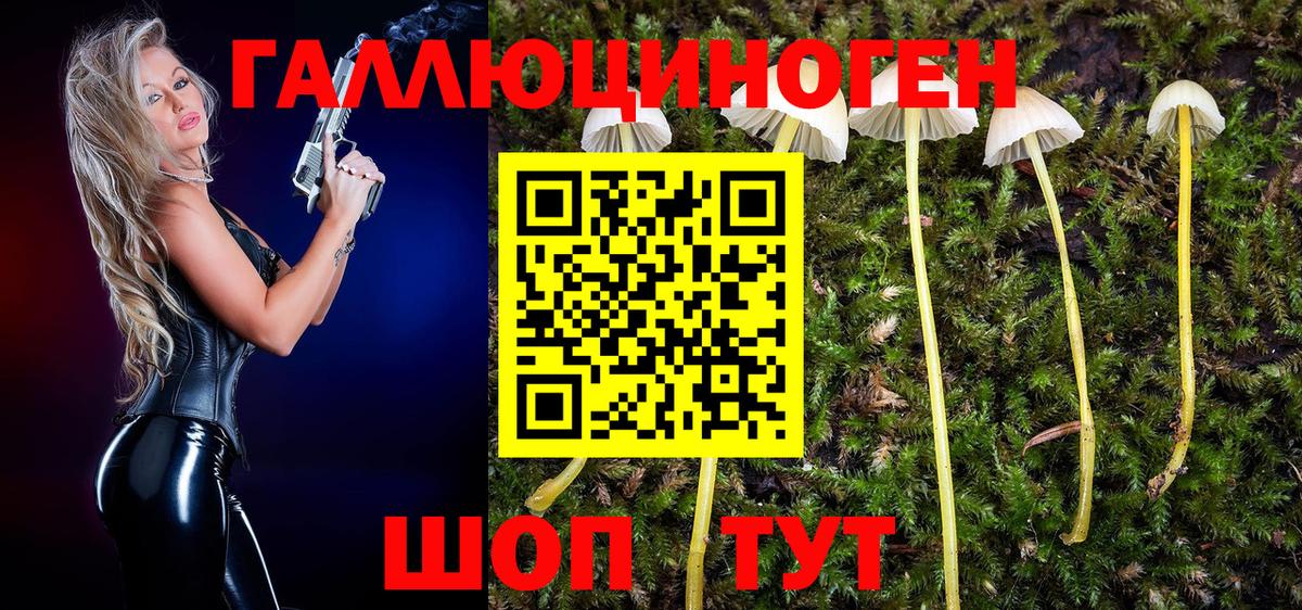 Галлюциногенные грибы MAGIC MUSHROOMS  Вход с VPN  Екатеринбург  Псилоцибиновые грибы Psilocybine cubensis 